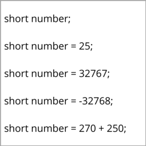java short data type valid examples